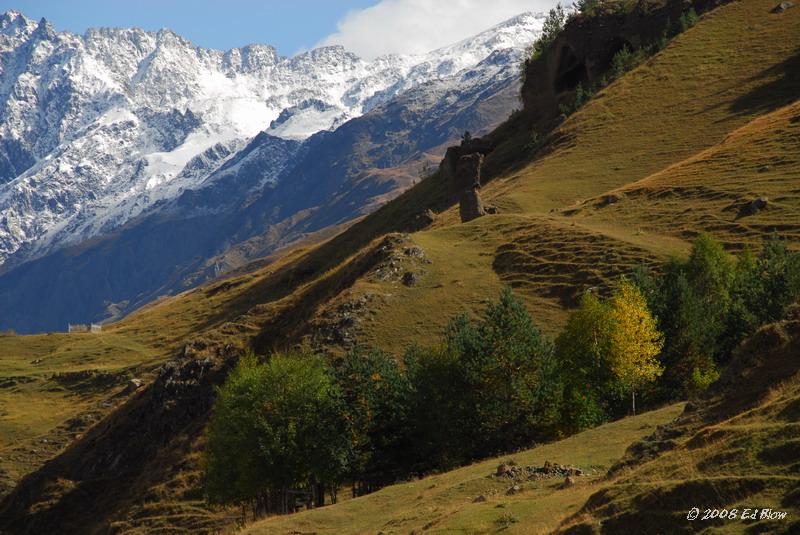 Splash of yellow.jpg - Near Kazbek